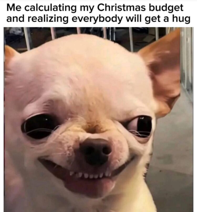 When the Christmas budget math hits and hugs are now legal tender. "Me calculating my Christmas budget and realizing everybody will get a hug." #Broke.