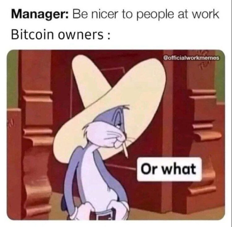 Manager: Be nicer to people at work. Bitcoin owners: "Or what." When your crypto says 'nope' to HR 😂 #bitcoin #bossmoves.