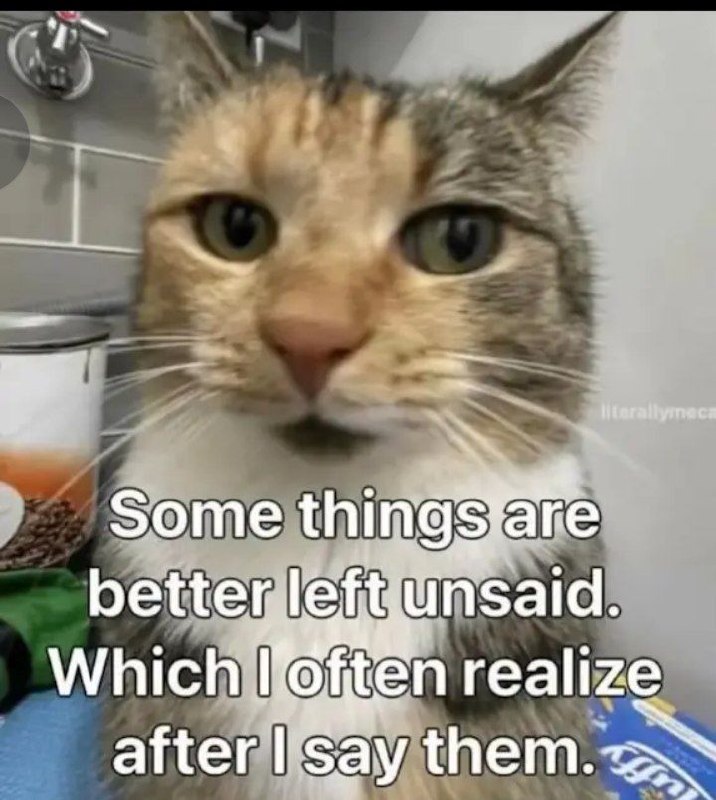You ever realize "Some things are better left unsaid. Which I often realize after I say them"? Oops. #mood #oops.