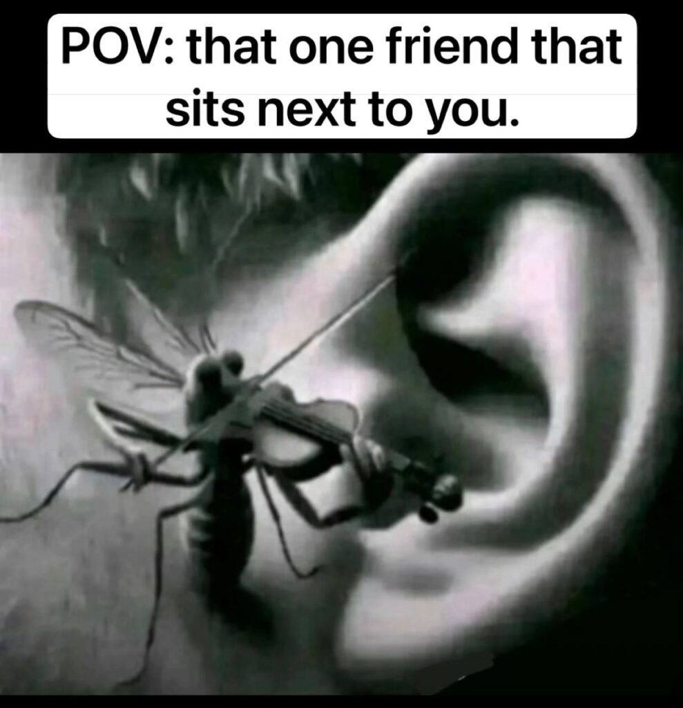 POV: that one friend that sits next to you. If only you could swat life's background music #mood #friendship #LOL.