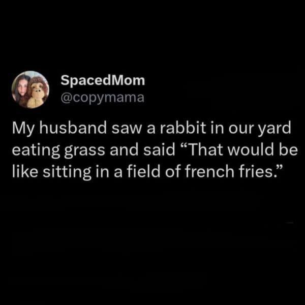 You ever see a bunny munching grass and think, "That's basically french fry heaven"? 😂🍟 #marriage #lifegoals.