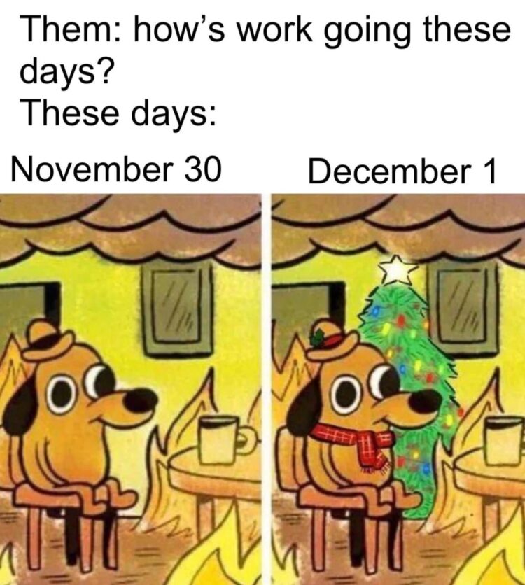 November 30: this is fine. December 1: this is festive fine. No chill, just tinsel and chaos! #ThisIsFine #ChristmasMode #MemeLife.