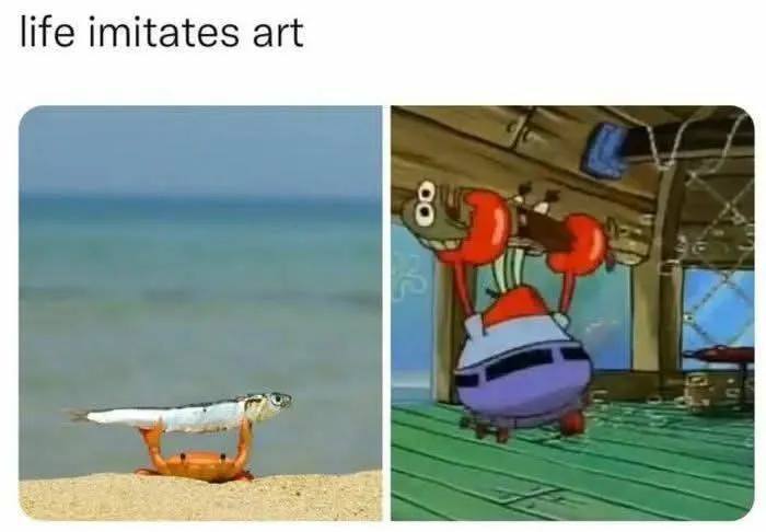 When you realize "life imitates art" and suddenly you’re the Mr. Krabs meme IRL. #meme #SpongeBob #crab.