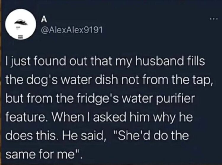 You just found out your man fills the dog's bowl with purified fridge water. His reason: "She'd do the same for me." #Dogs #Marriage.