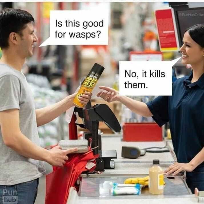 You: “Is this good for wasps?” Cashier: “No, it kills them.” Every time I shop with zero brain cells 😂 #logic #failure.