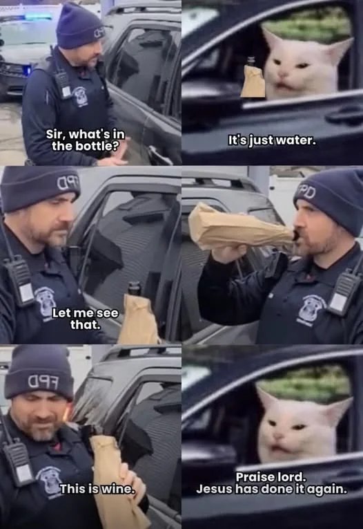 Officer: "What's in the bottle?" Cat: "Water" Officer sips, "This is wine!" Cat: "Jesus did it again!" #miracle #cat #meme.