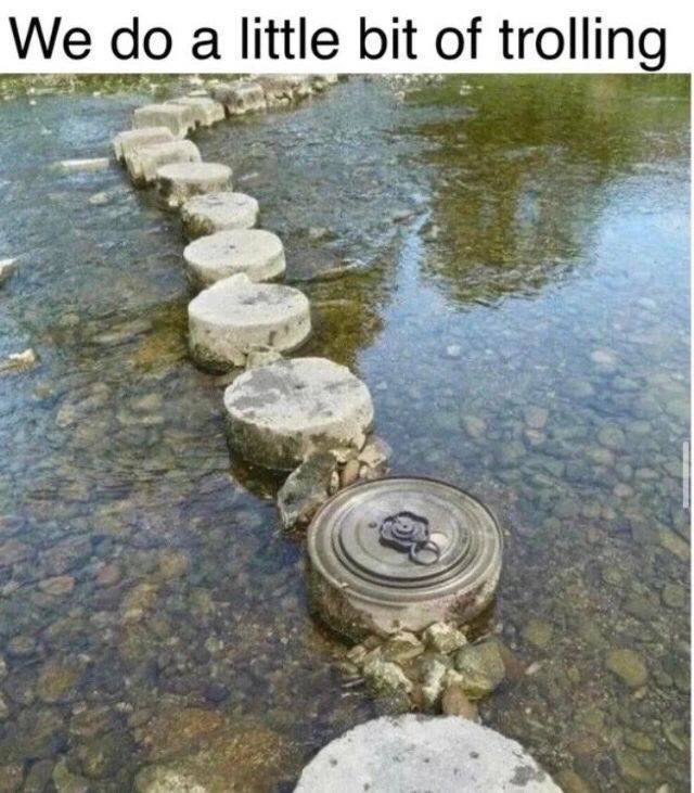 You think you're just hopping across, then BOOM—“We do a little bit of trolling.” #troll #gotem #meme.