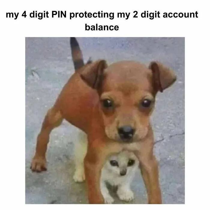 When your 4 digit PIN is the ultimate bodyguard for that 2 digit account balance. "my 4 digit PIN protecting my 2 digit account balance." #broke.