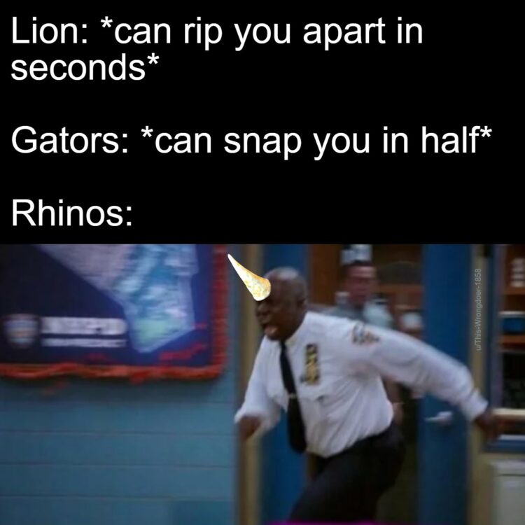 When you hear "lions and gators are dangerous" but they never warned you about the dude with the ice cream cone rhino head. #whyme.