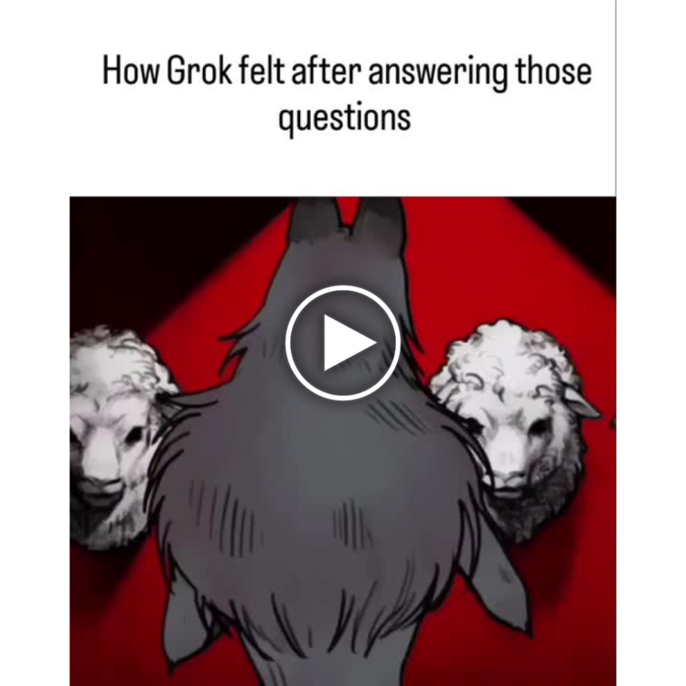 “How Grok felt after answering those questions.” When you ace the pop quiz but your friends are sheep #BigBrain #LOL.