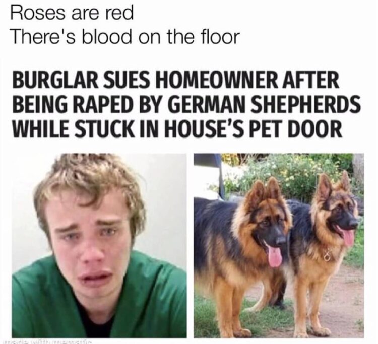 Roses are red, There's blood on the floor. Burglar sues homeowner after being raped by German Shepherds stuck in pet door. #news #meme.