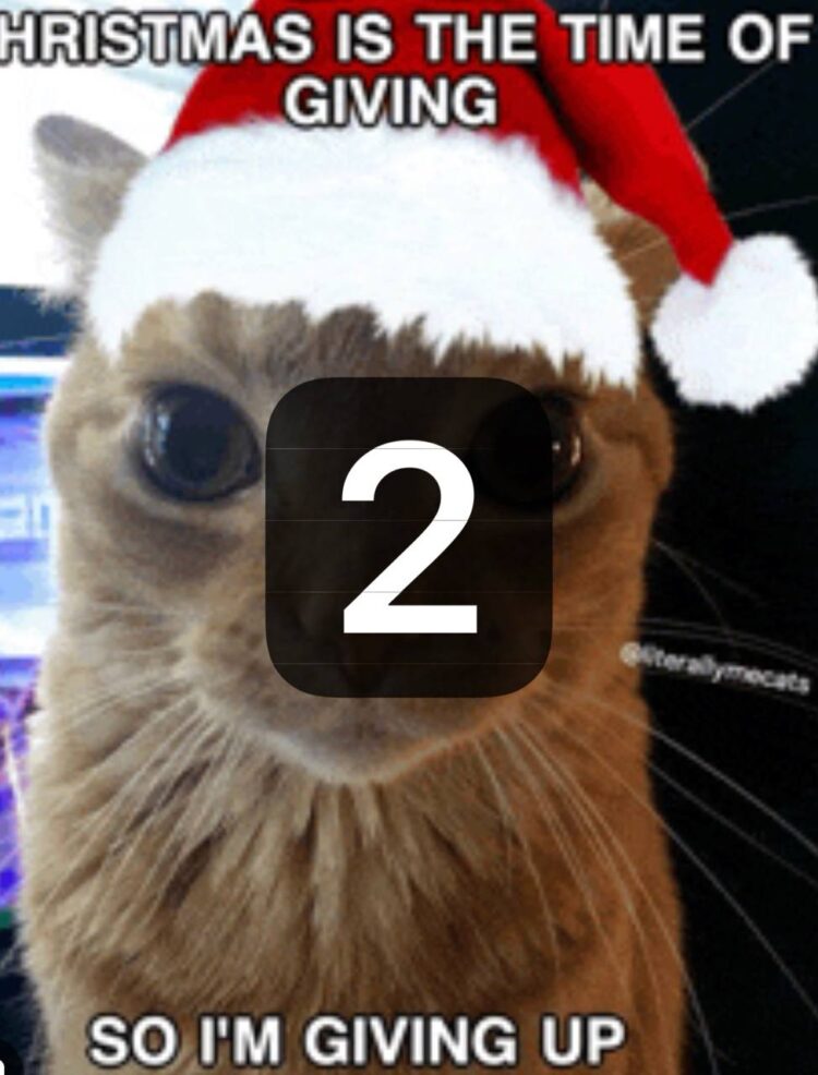 Christmas is the time of giving, so I’m giving up. 2. When December hits and so does your existential crisis 😂 #Christmas #Meme.