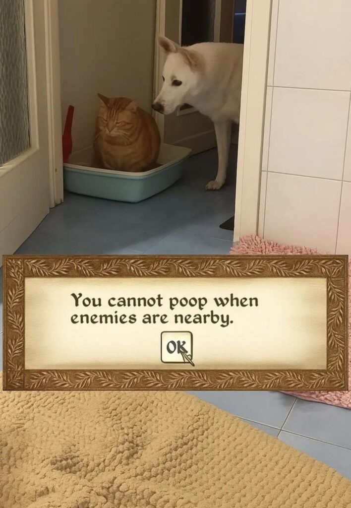 You cannot poop when enemies are nearby. OK 😂 When even bathroom time turns into hard mode! #meme #gamerlife.