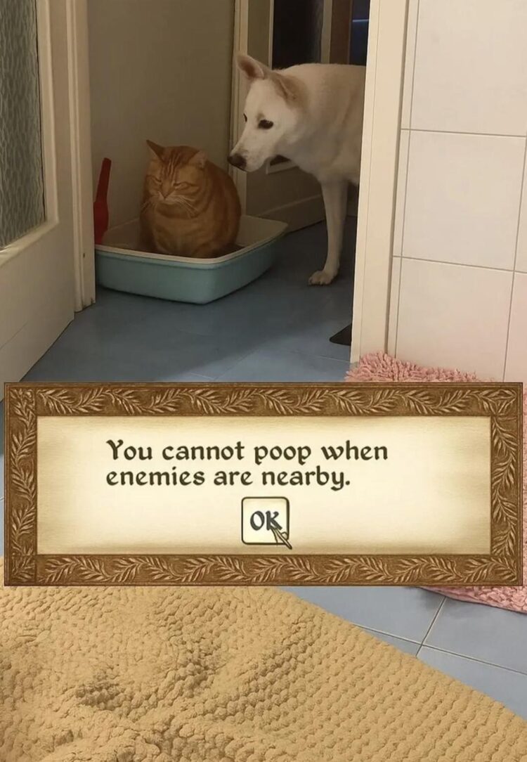 You cannot poop when enemies are nearby. OK 😂 When even bathroom time turns into hard mode! #meme #gamerlife.