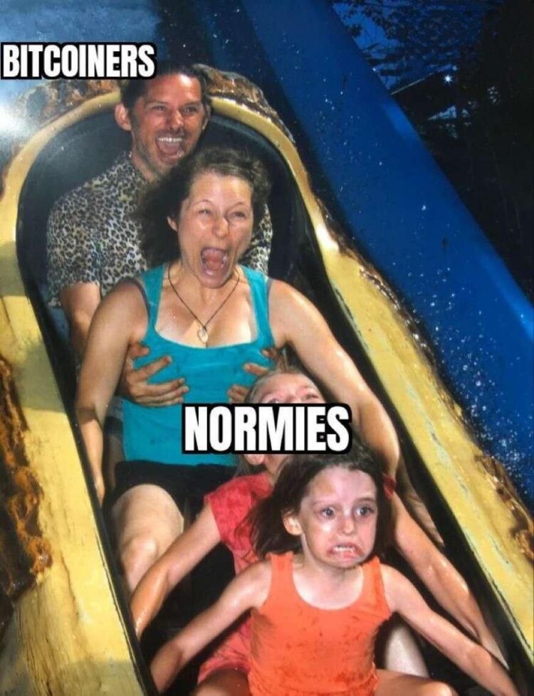 When you’re a BITCOINER on the crypto rollercoaster while the NORMIES just want off. Buckle up! #crypto #bitcoin #memes.