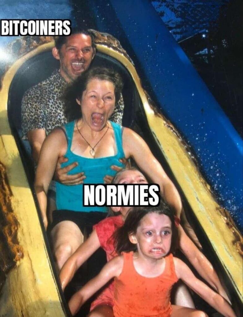 When you’re a BITCOINER on the crypto rollercoaster while the NORMIES just want off. Buckle up! #crypto #bitcoin #memes.