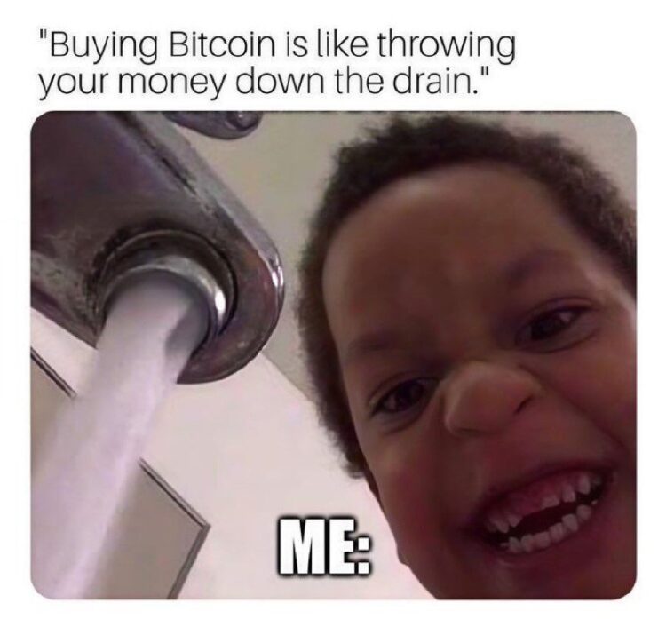 Buying Bitcoin is like throwing your money down the drain." ME: 😂🤑 When they warn you and you still ape in. #Bitcoin #YOLO.