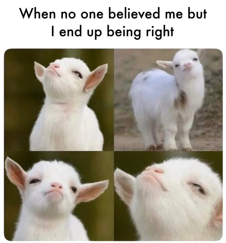When no one believed me but I end up being right. That goat face though. #relatable #winning.
