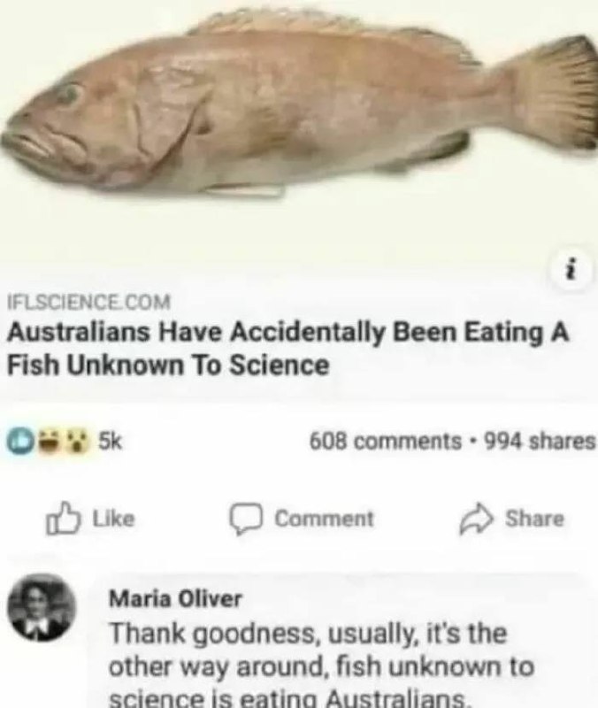 Australians Have Accidentally Been Eating A Fish Unknown To Science. Usually, it's the other way around; fish eat us 😂 #Australia #foodie.