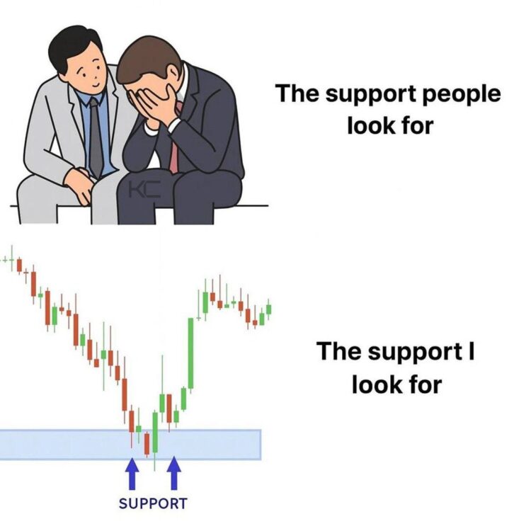 You: "The support people look for" Me: "The support I look for" #traderlife #stocks #memes.
