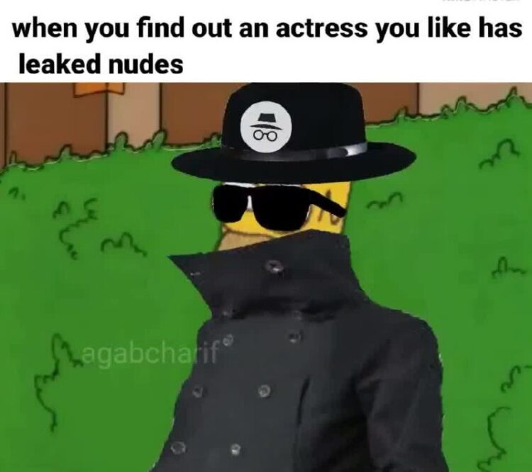 When you find out an actress you like has leaked nudes. We all turn detective real quick 😂 #mood #detective #memes.