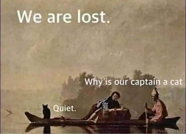 You ever realize mid-trip that your captain is a cat? “We are lost. Why is our captain a cat? Quiet.” #lost #catboss.