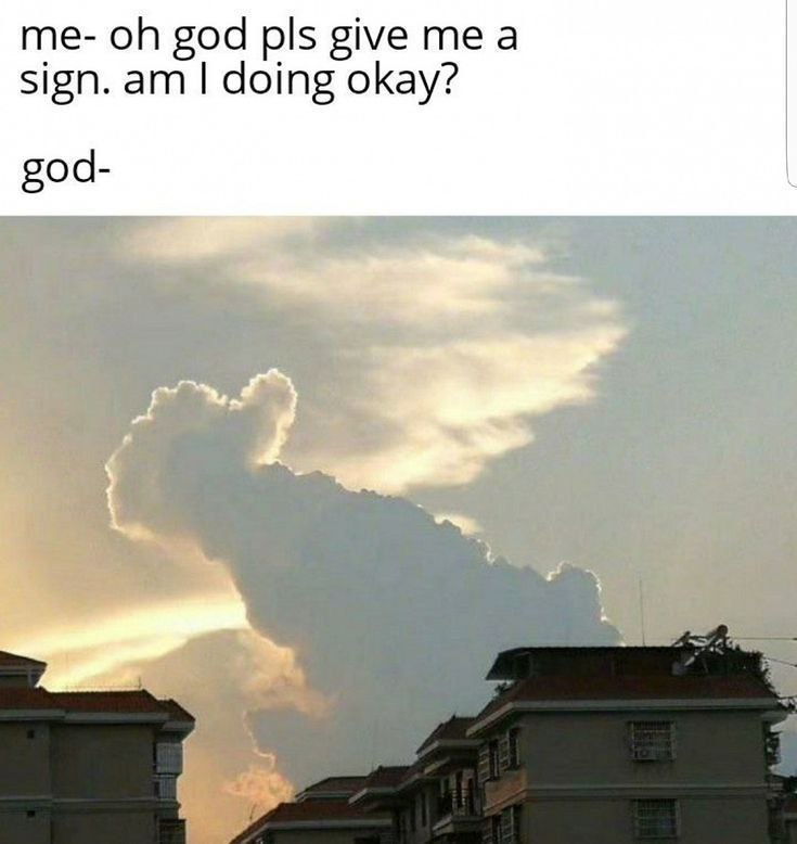 When you beg the universe for a sign and it overdelivers 😂 "me- oh god pls give me a sign. am I doing okay? god-" #Signs #DogCloud.