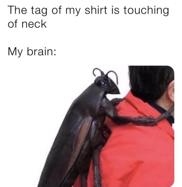 The tag of my shirt is touching of neck. My brain: And suddenly you’re convinced it’s a tarantula attack 😂 #itchy #brainlogic.