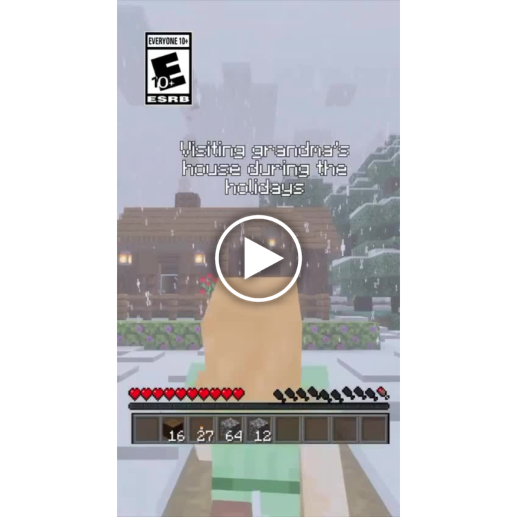 You: Visiting grandma’s house during the holidays. But you still have to watch out for creepers. #Minecraft #holidays.