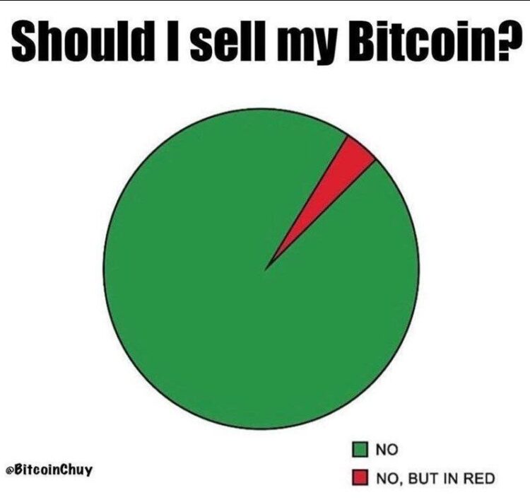 You’re thinking, “Should I sell my Bitcoin?” Chart says: NO. Or, NO, BUT IN RED. Diamond hands only 🚀 #Bitcoin #HODL.