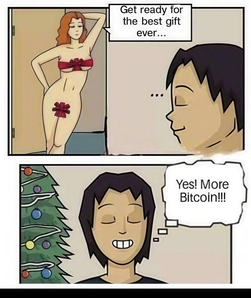 You think she’s the present 🎁 but all he wants is crypto under the tree. "Yes! More Bitcoin!!!" #Christmas #Bitcoin #goals.