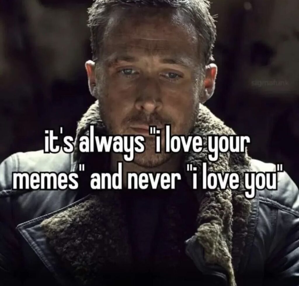 When they say "I love your memes" but never "I love you." Story of our lives 😂 #memes #singlelife.