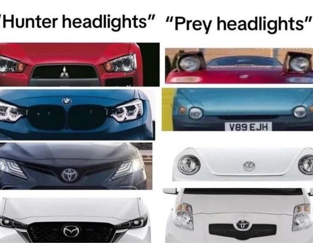 You either pull up with “Hunter headlights” or you hit the road like “Prey headlights.” Which one are you? #Cars #Meme.