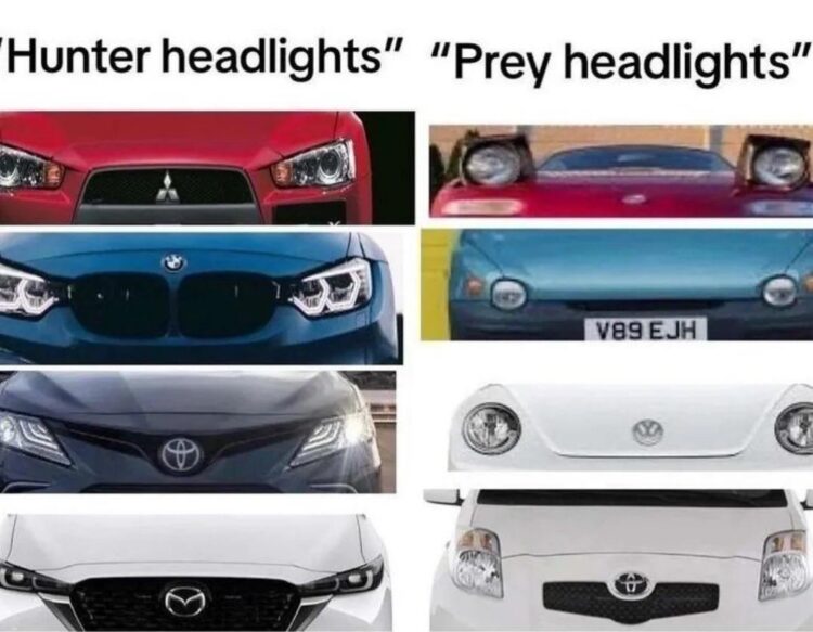 You either pull up with “Hunter headlights” or you hit the road like “Prey headlights.” Which one are you? #Cars #Meme.