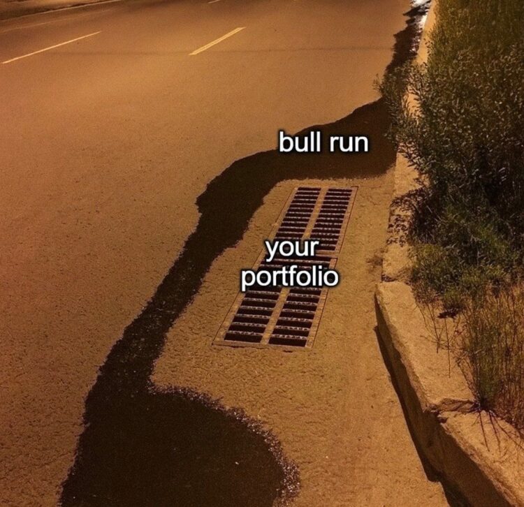 When it’s a bull run and “your portfolio” misses every drop. Just vibes, no gains. #FOMO #Crypto #Investing.