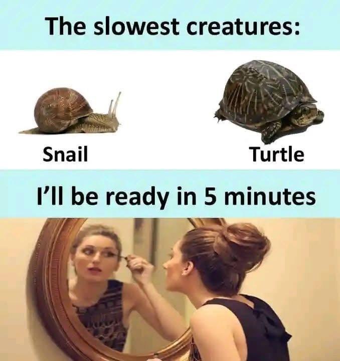 You say “I’ll be ready in 5 minutes” but move at snail-turtle speed when doing your makeup. #Mood #Truth #MakeupTime.