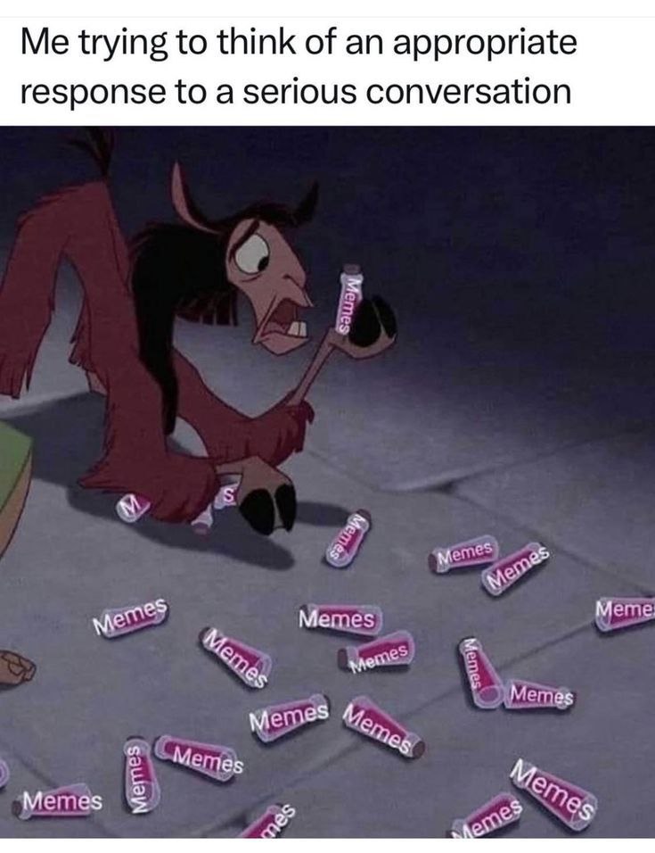 Me trying to think of an appropriate response to a serious conversation." When in doubt, send more memes. #meme #awkward #llama.