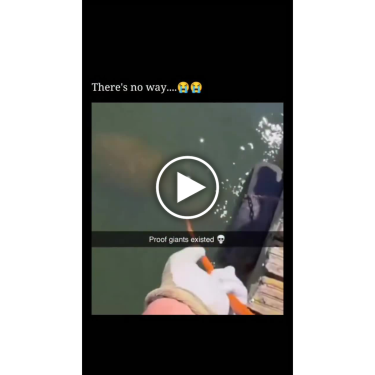 You’re just out fishing, but suddenly you find PROOF GIANTS EXISTED 💀 "There's no way....😭😭" #giants #fishing #OMG.