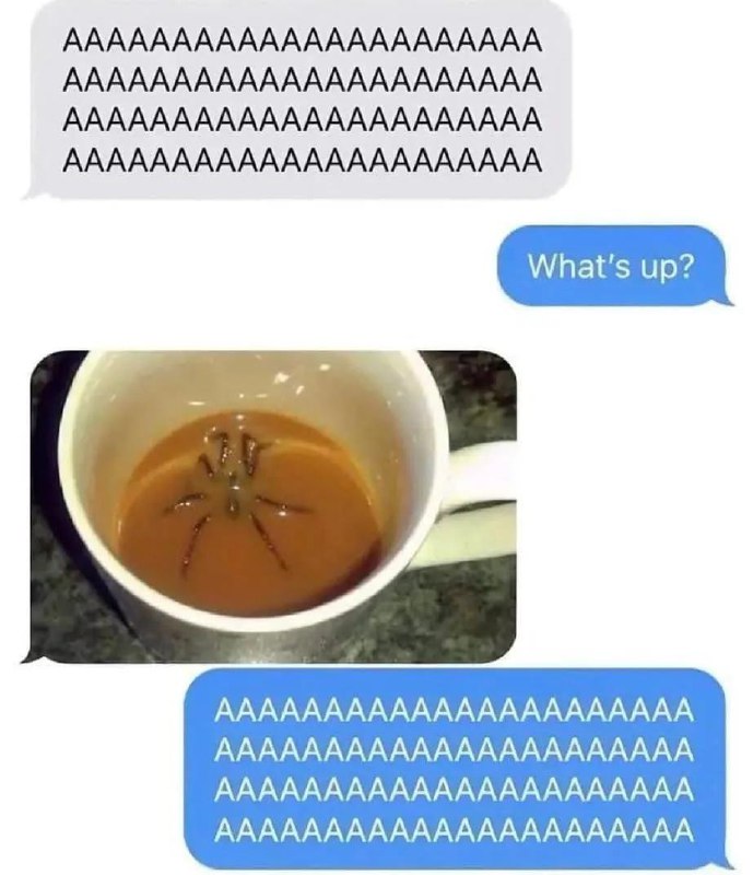 You: "AAAAAA" Friend: "What's up?" You send a coffee mug spider pic. You again: "AAAAAA" #MorningFail #SpiderLife.