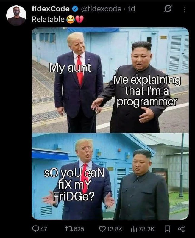 When you tell your aunt you're a programmer: "sO yoU caN FiX My FRiDGe?" 😂 #programmer #family #techlife.