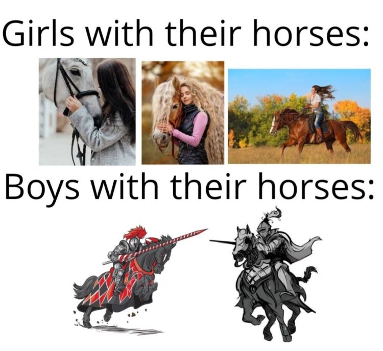 When girls love horses vs when boys love horses. Pick your fighter 🐎 #horses #girls #boys #medieval #funny.