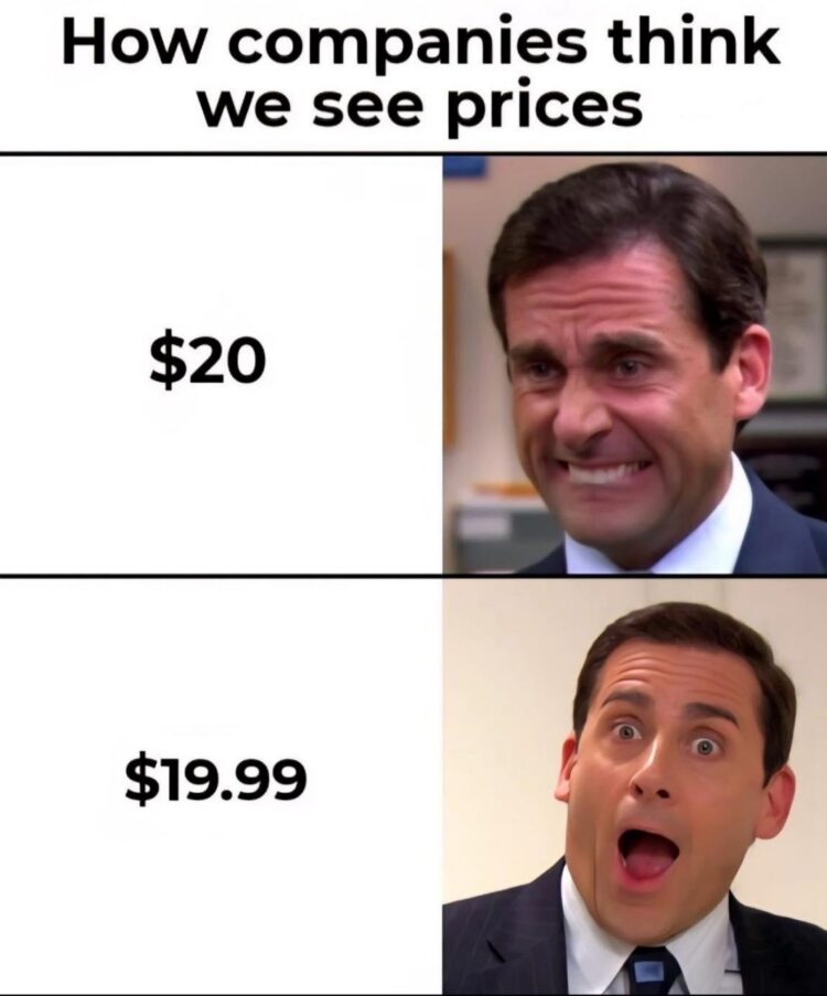 How companies think we see prices: $20? Nope. $19.99? TAKE MY MONEY 😂 #facts #marketing #TheOffice.
