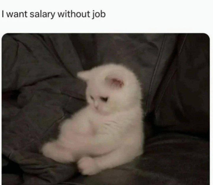You want salary without job. Honestly, same. Where do you apply for this position? #MondayMood #lifehack.