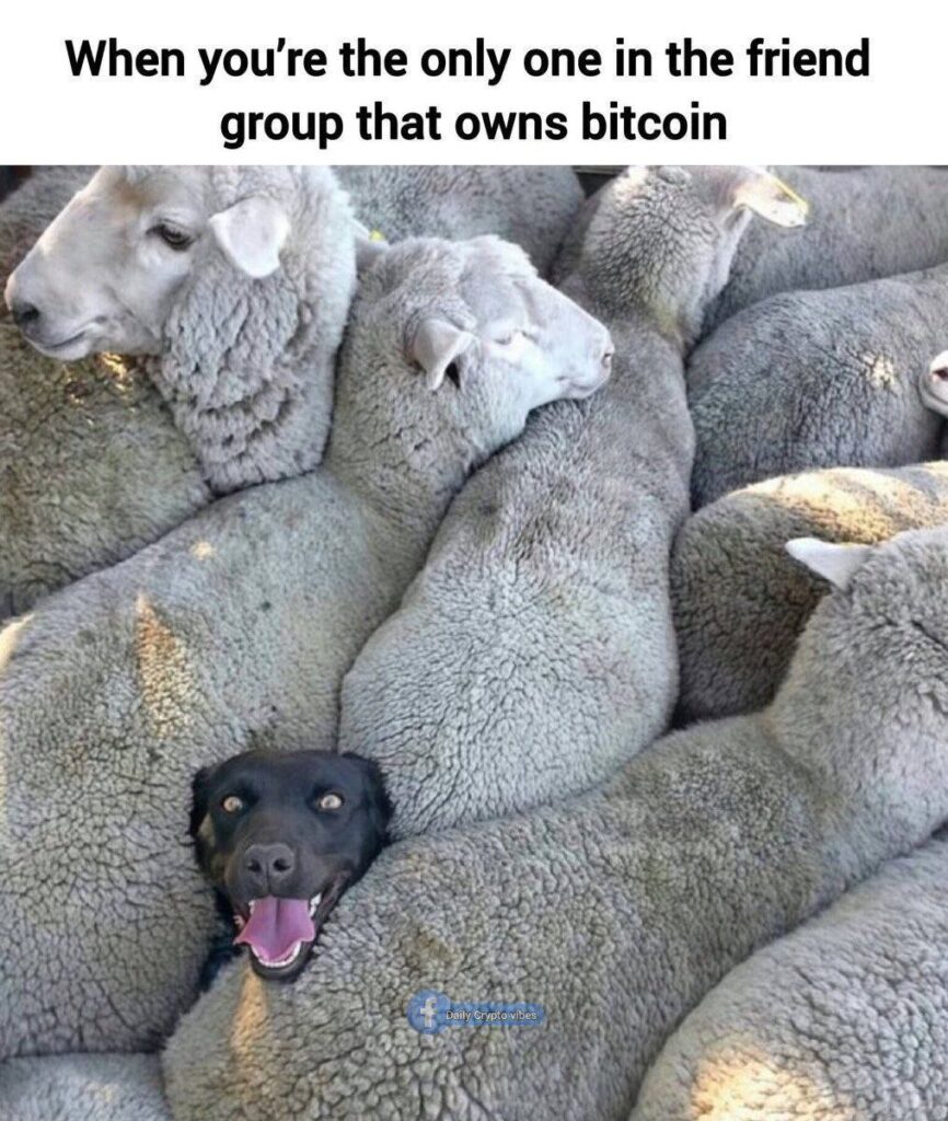 When you’re the only one in the friend group that owns bitcoin. #Bitcoin #CryptoFam #OddOneOut.