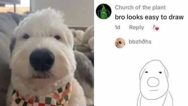 When your selfie doubles as an art tutorial 😂 "bro looks easy to draw" #dog #easyart #meme.
