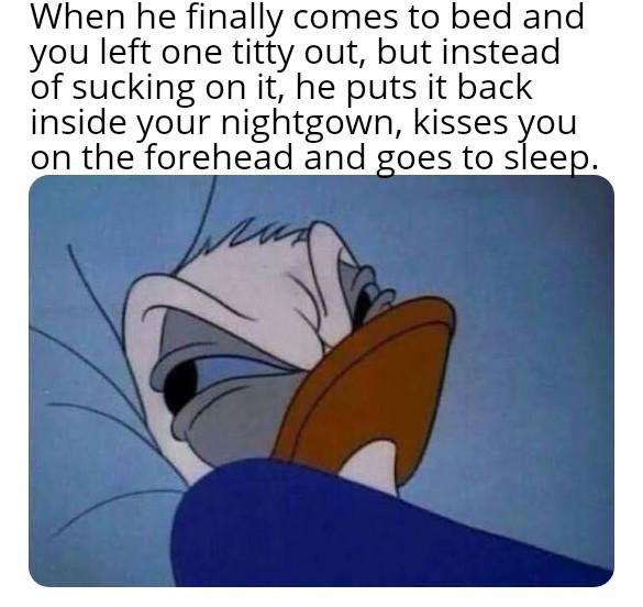 You know that feeling when you get in bed and realize you didn't get the affection you wanted? Same, duck. #relatable #bedtime.