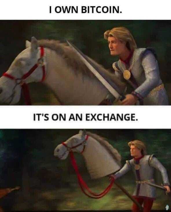 You OWN BITCOIN? Congrats, but is it really yours if it’s just chillin’ on an exchange? #crypto #bitcoin #Shrek.