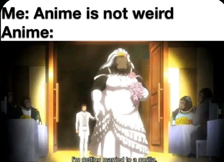 Me: Anime is not weird Anime: "I'm getting married to a gorilla." You can't make this up 😂 #anime #wtf.