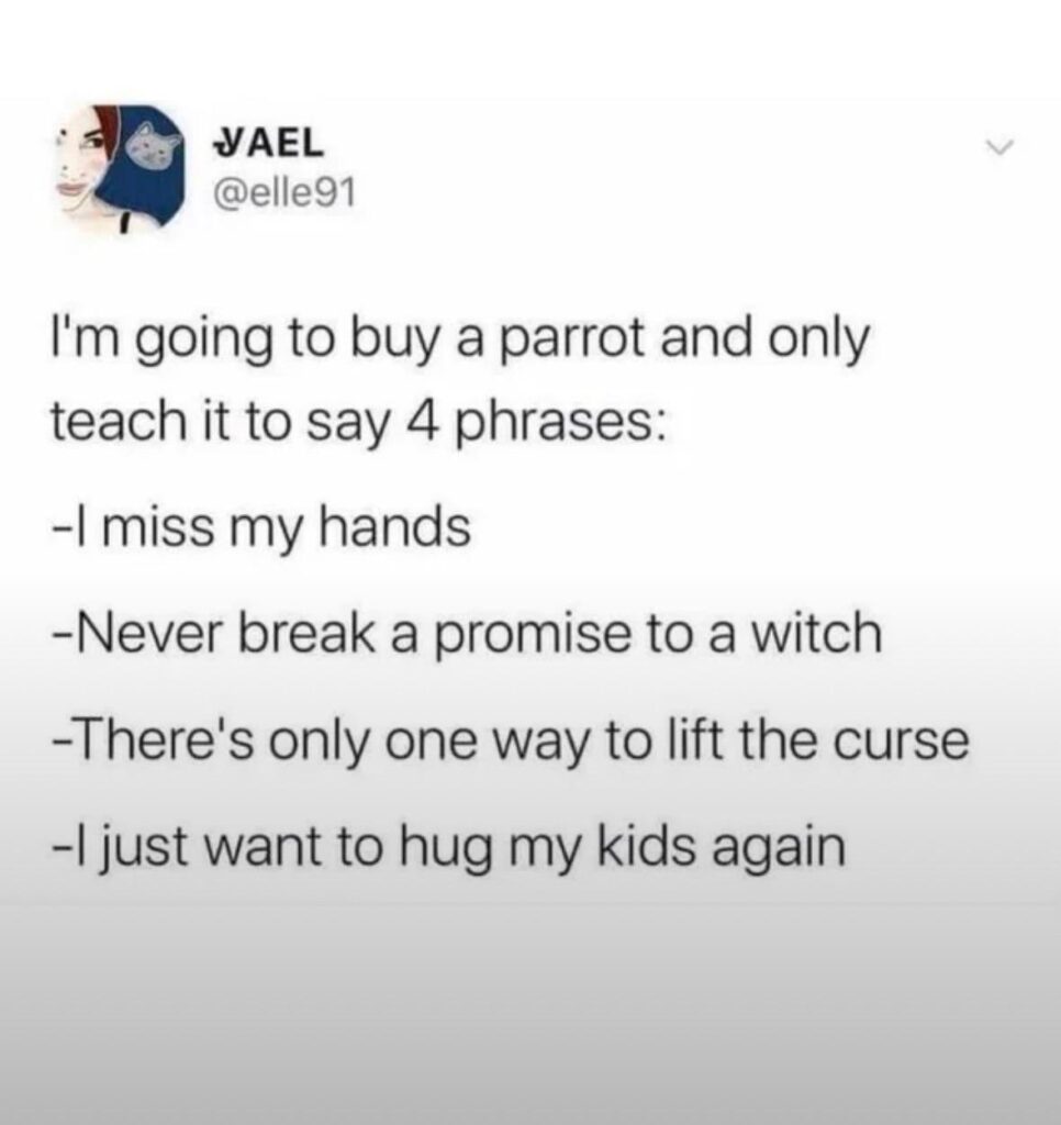 You just know owning this parrot is a lifetime commitment. "I miss my hands" vibes only. #parrothood #witchy.