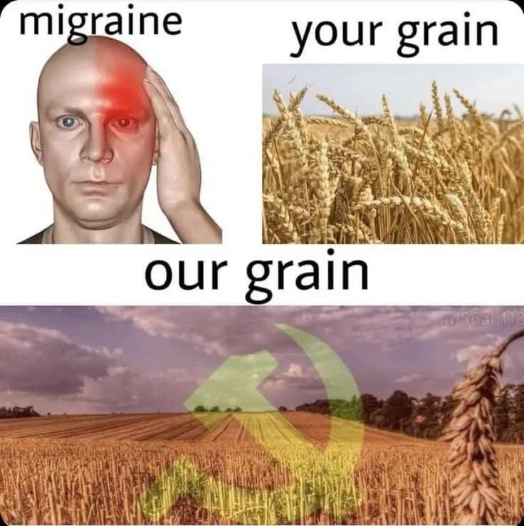 When it’s migraine vs your grain vs OUR grain. Share with a comrade who knows the pain! #communism #memes.